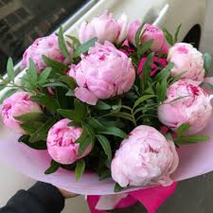 Пион древовидный в Каратау