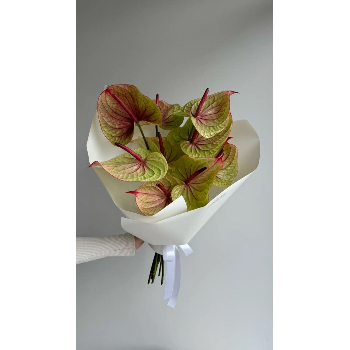 Антуриумы в Каратау