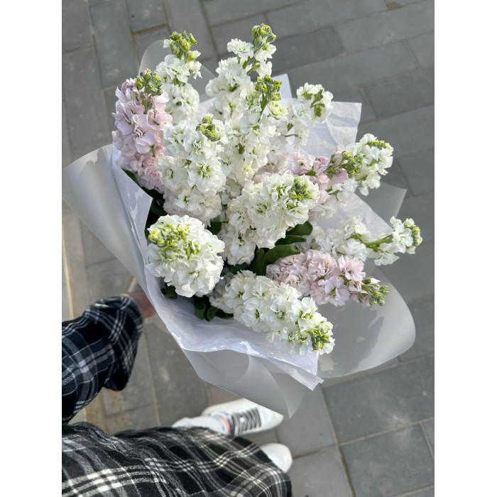 Маттиола в Каратау