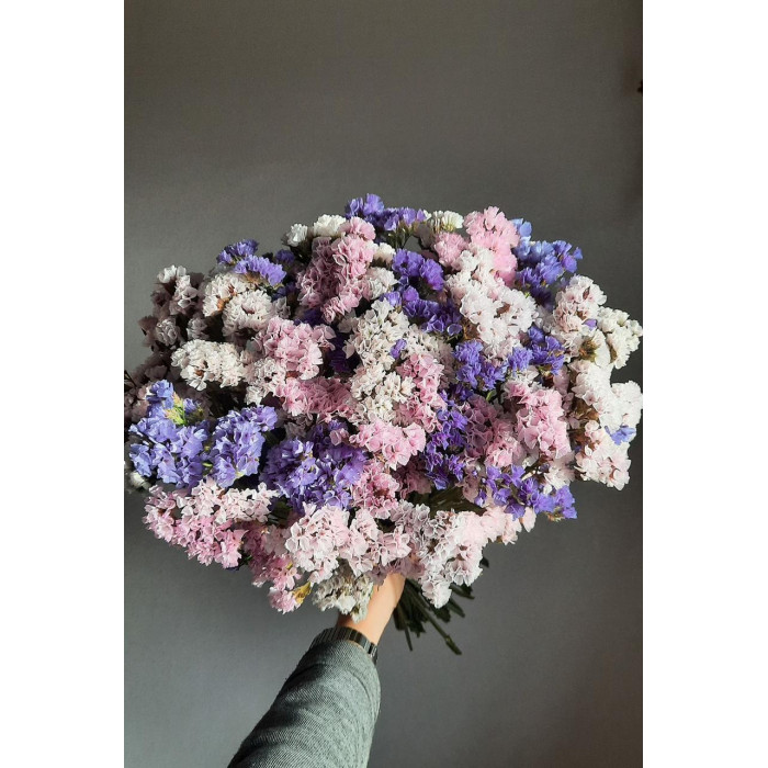 Статица (Лимониум) в Каратау