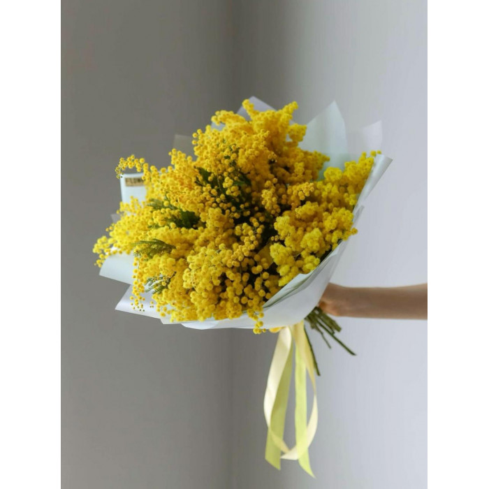 Мимоза в Каратау