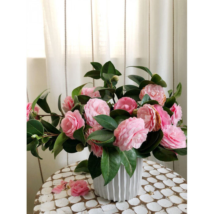 Камелия в Каратау