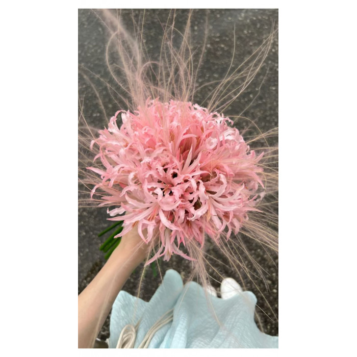 Нерине в Каратау