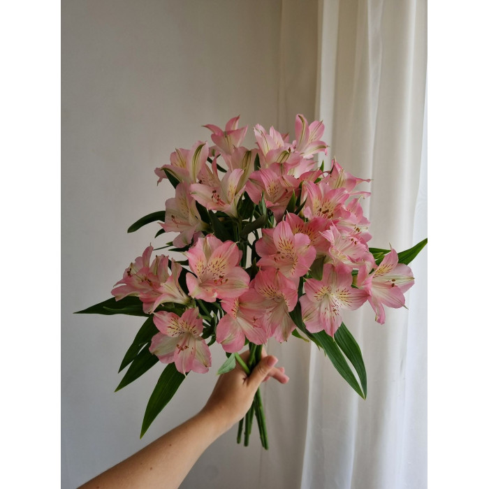 Альпиния в Каратау