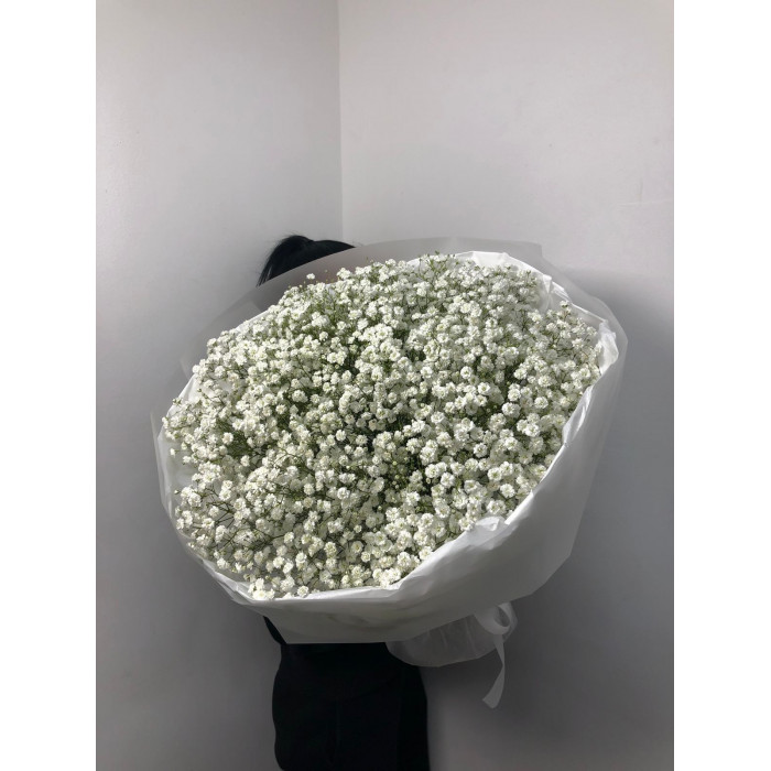 Гипсофила классическая в Каратау