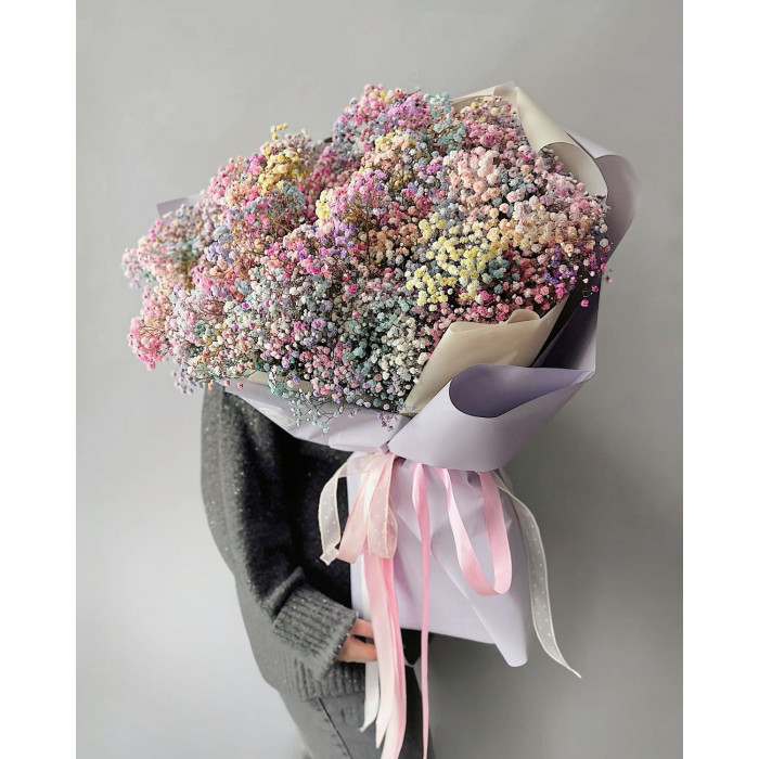 Гипсофила цветная в Каратау