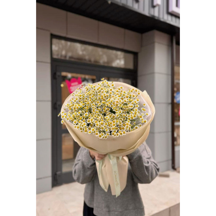 Танацетум в Каратау