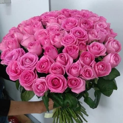 Купить на заказ Букет из 75 розовых роз с доставкой в Каратау
