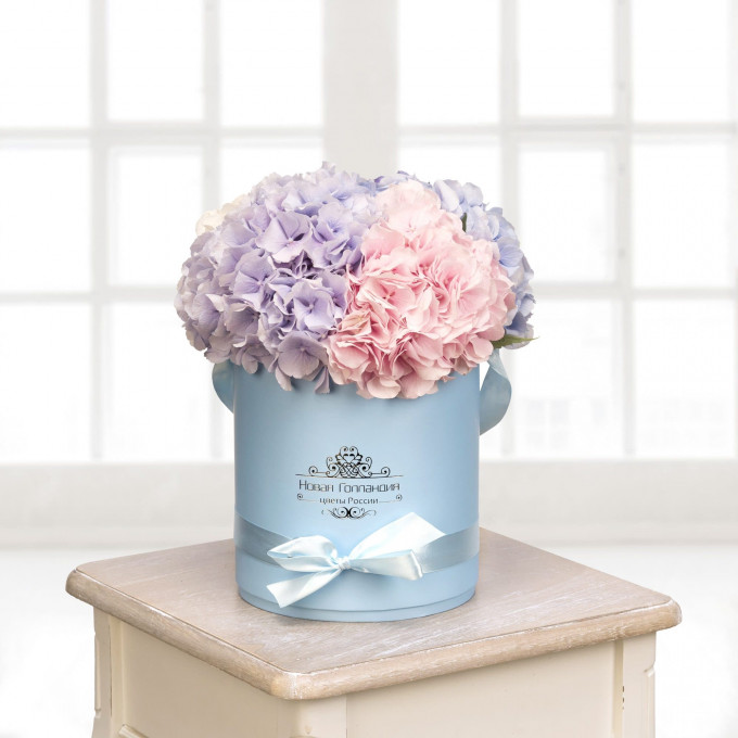 Гортензии в голубой шляпной коробке (5 шт.) Гортензии в голубой шляпной коробке (5 шт.)