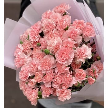 Букет из гвоздик (25 шт.) Букет из гвоздик (25 шт.)